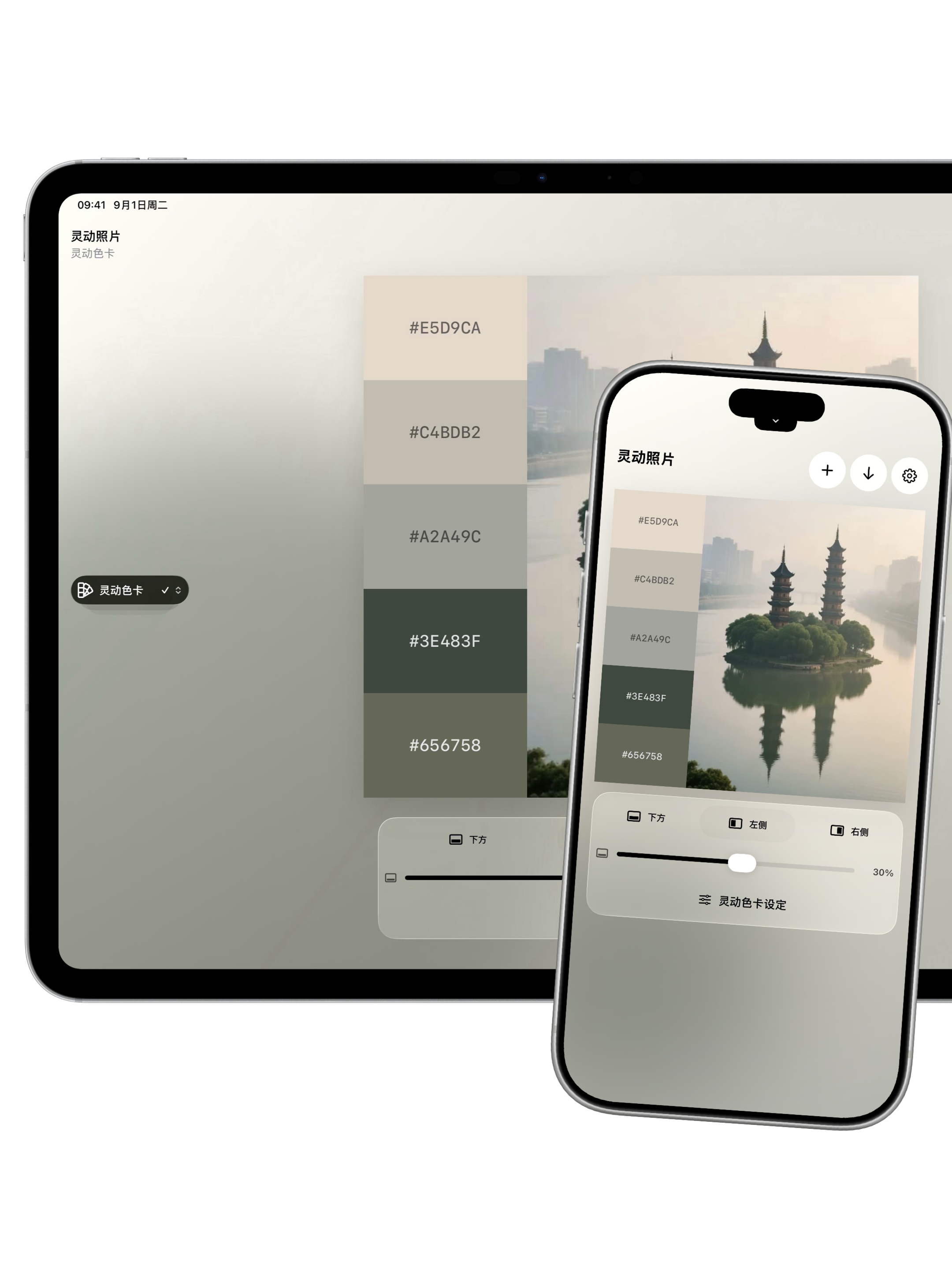 灵动照片在 iPad 与 iPhone 上的灵动色卡界面