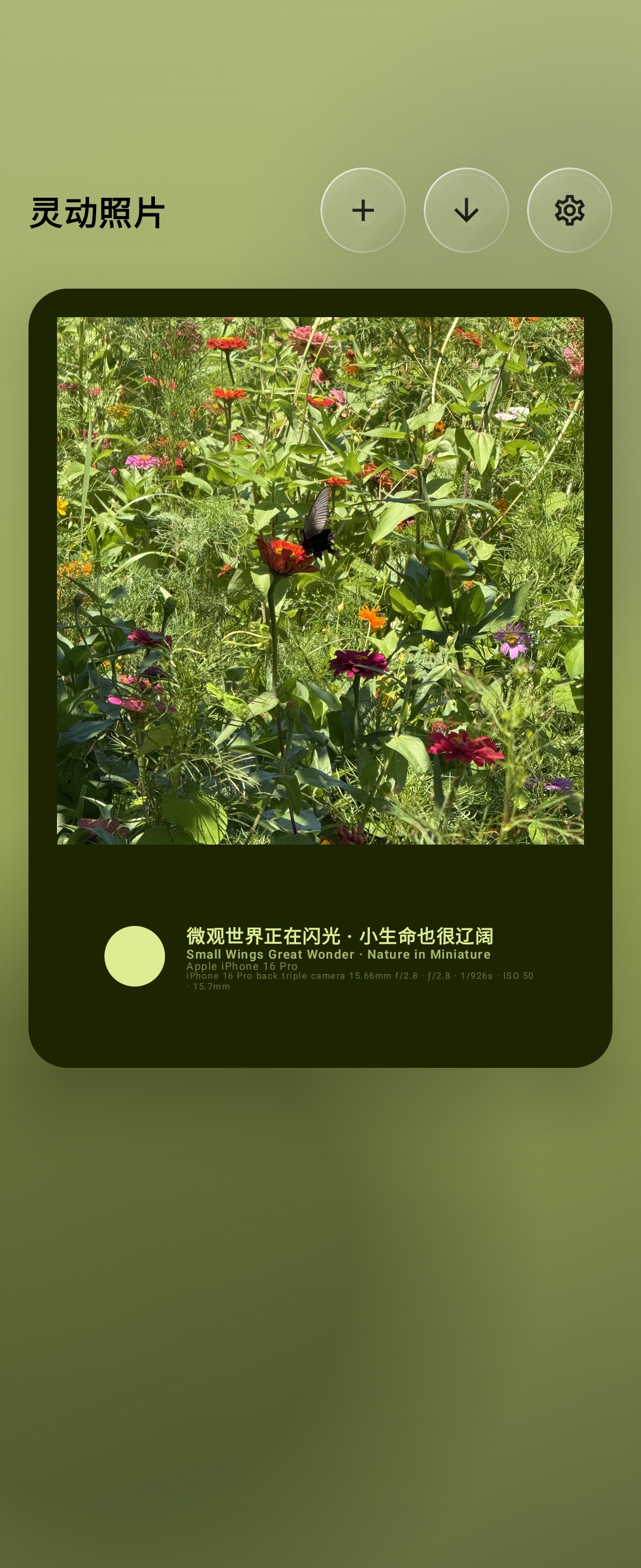 Android 气泡印章界面