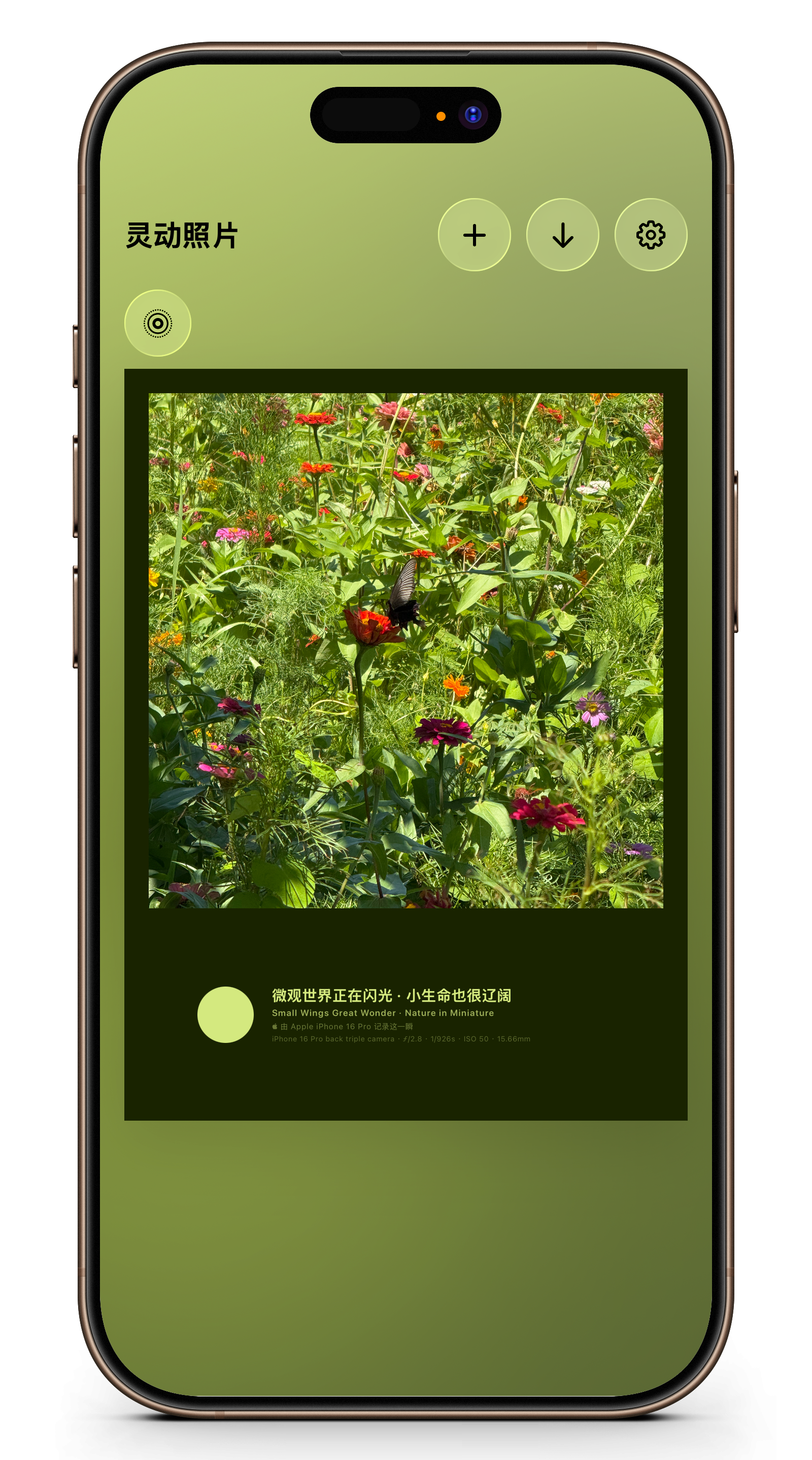 iOS 气泡印章界面