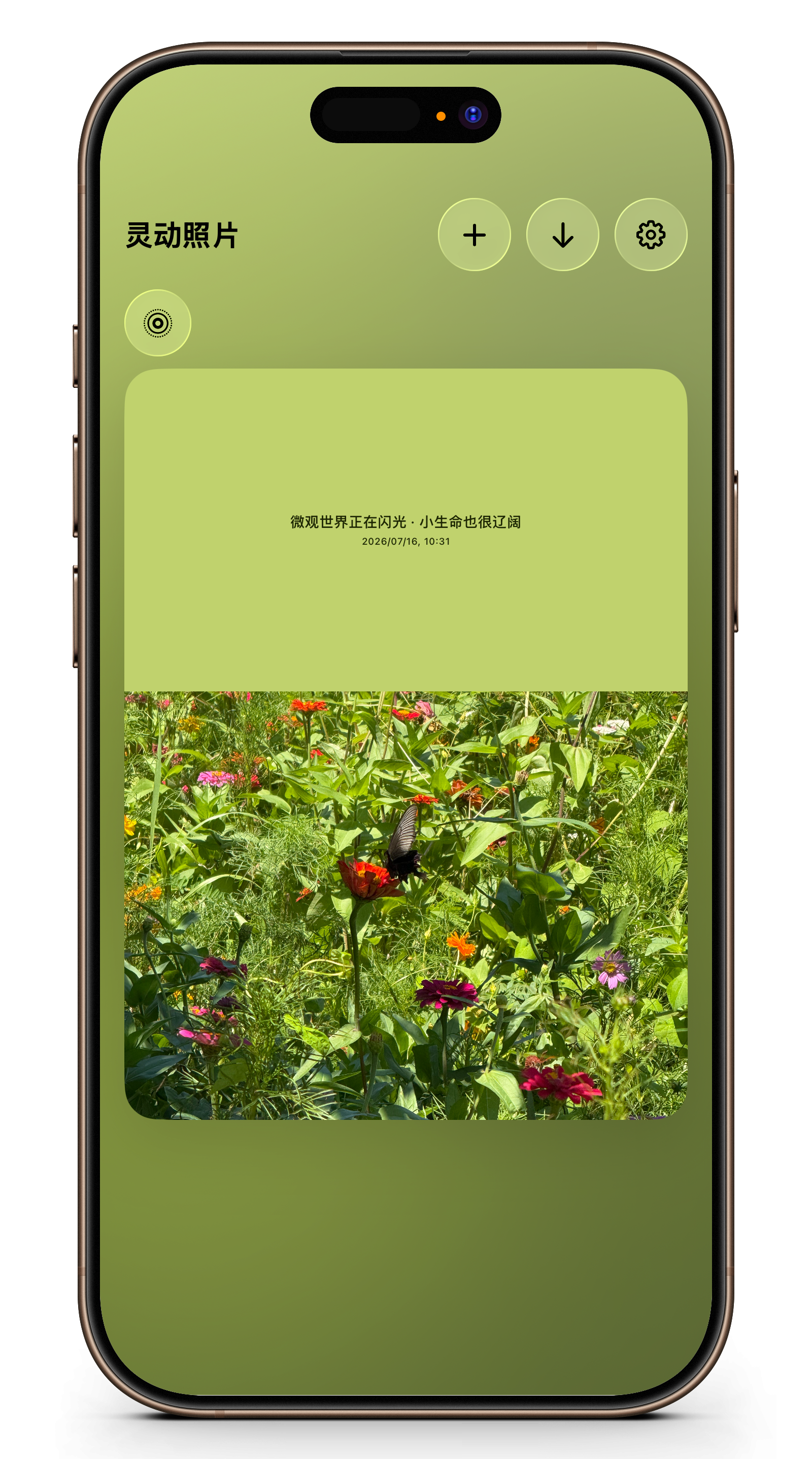 iOS 灵动卡片界面