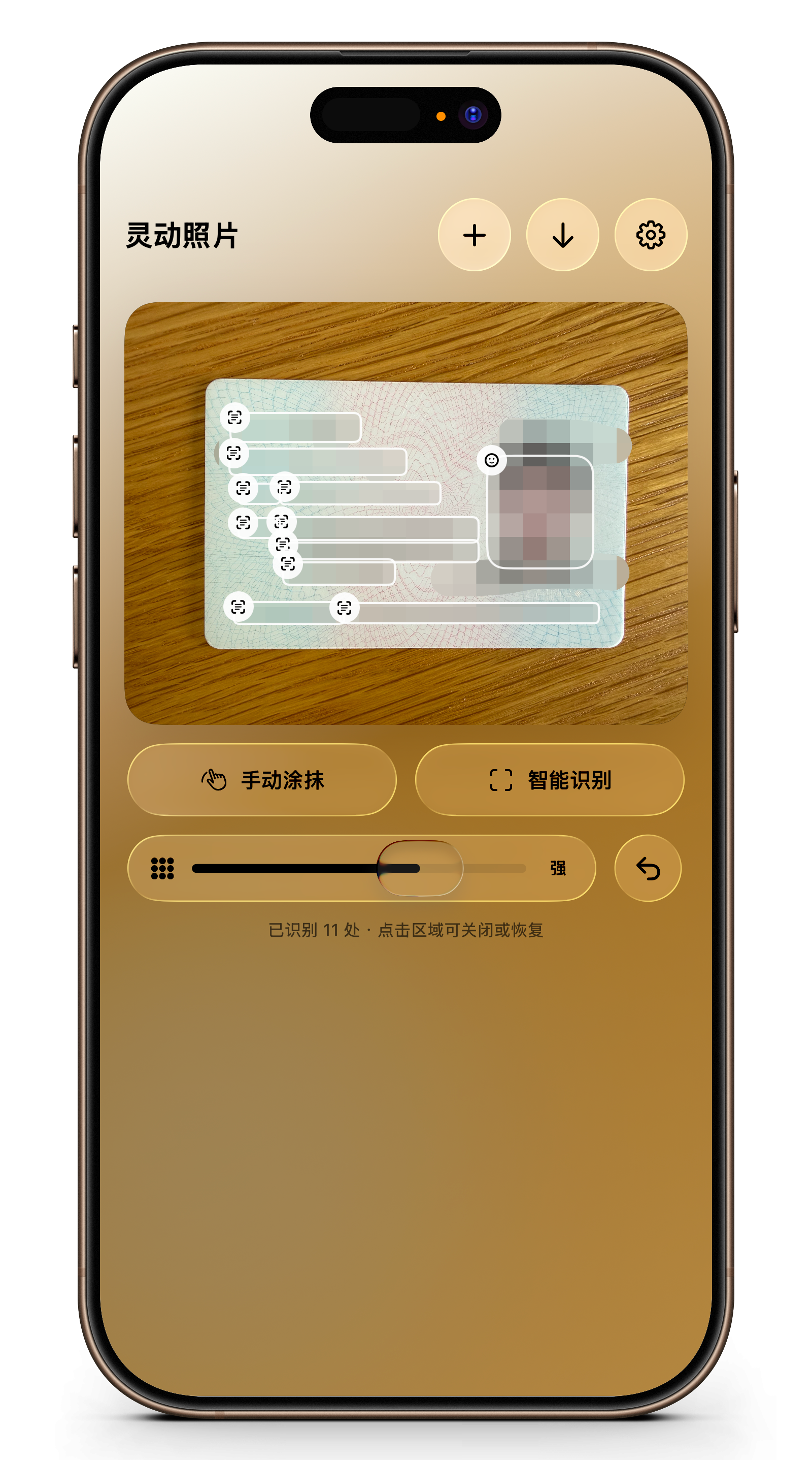 iOS 隐私马赛克界面